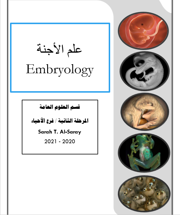 علم الأجنة Embryology